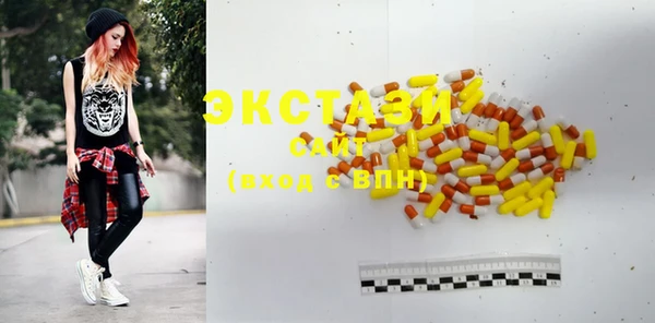 индика Бугульма