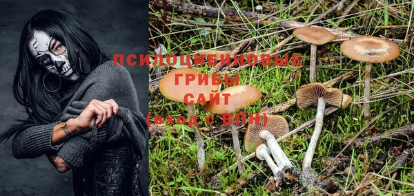 COCAINE Богородицк