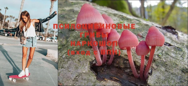 COCAINE Богородицк