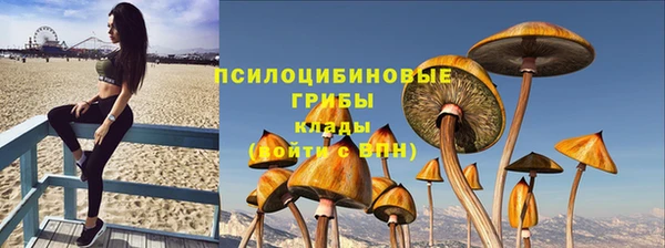 бошки Богородск